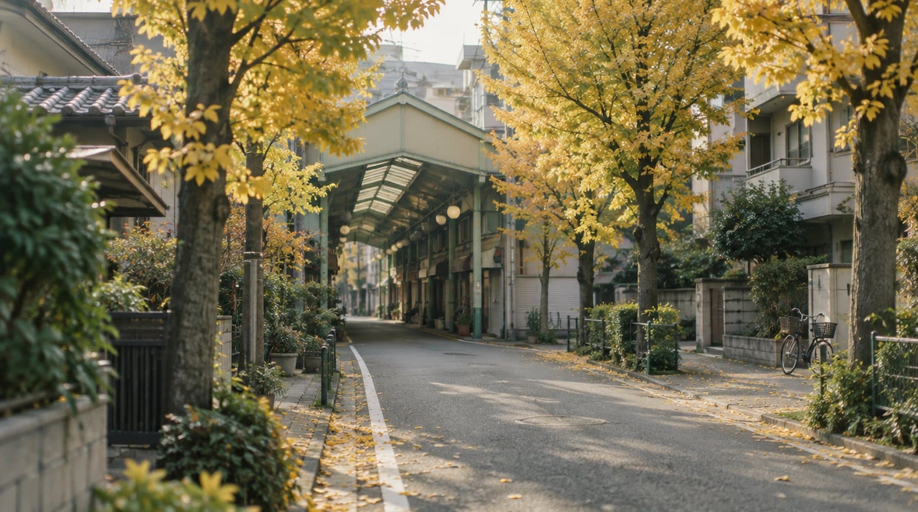 Autumn in Tokyo: Where to Base Yourself So the City Is Easy